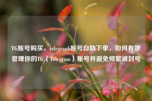 TG账号购买，telegraph账号自助下单，如何有效管理你的TG（Telegram）账号并避免频繁被封号