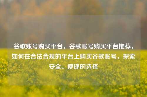 谷歌账号购买平台，谷歌账号购买平台推荐，如何在合法合规的平台上购买谷歌账号，探索安全、便捷的选择