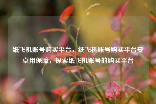 纸飞机账号购买平台，纸飞机账号购买平台安卓用保障，探索纸飞机账号的购买平台