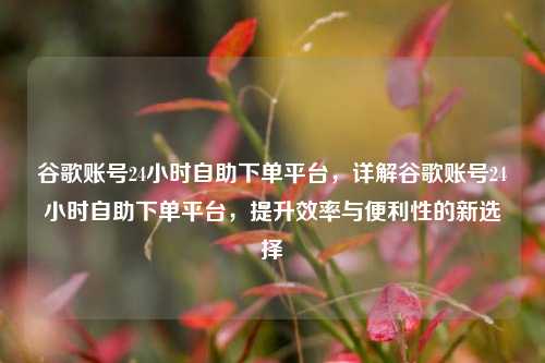 谷歌账号24小时自助下单平台，详解谷歌账号24小时自助下单平台，提升效率与便利性的新选择