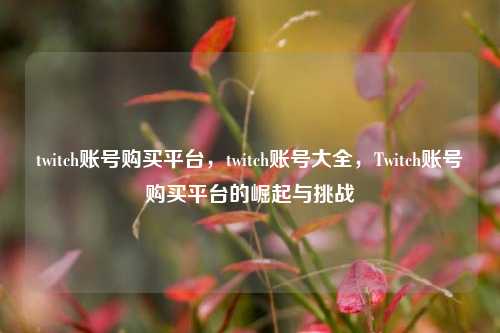 twitch账号购买平台，twitch账号大全，Twitch账号购买平台的崛起与挑战  第1张