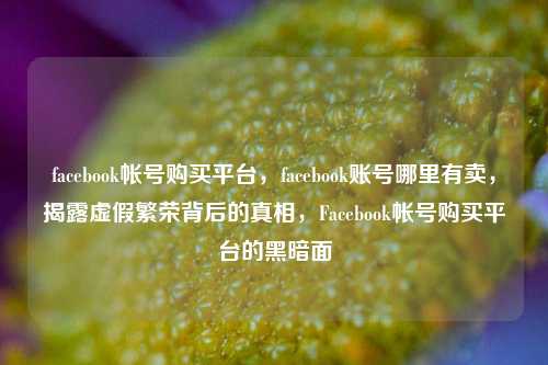 facebook帐号购买平台，facebook账号哪里有卖，揭露虚假繁荣背后的真相，Facebook帐号购买平台的黑暗面