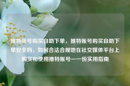 推特账号购买自助下单，推特账号购买自助下单安全吗	，如何合法合规地在社交媒体平台上购买和使用推特账号—一份实用指南  第1张