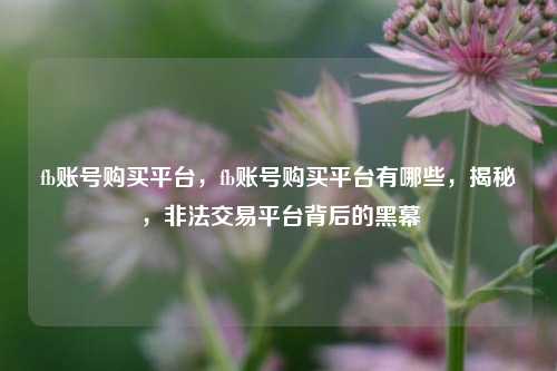 fb账号购买平台，fb账号购买平台有哪些，揭秘，非法交易平台背后的黑幕