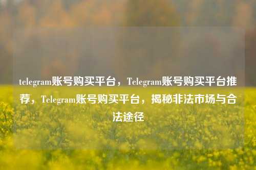 telegram账号购买平台，Telegram账号购买平台推荐，Telegram账号购买平台，揭秘非法市场与合法途径