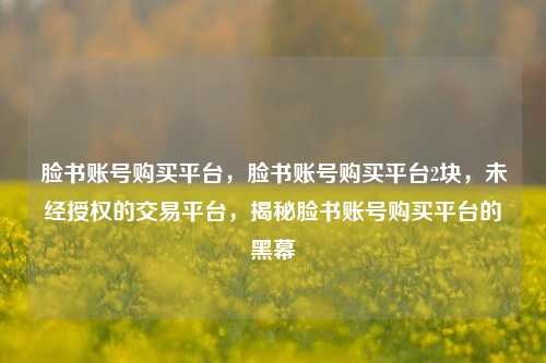 脸书账号购买平台，脸书账号购买平台2块，未经授权的交易平台，揭秘脸书账号购买平台的黑幕