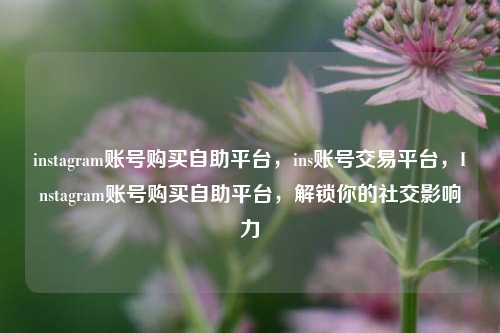 instagram账号购买自助平台，ins账号交易平台，Instagram账号购买自助平台，解锁你的社交影响力