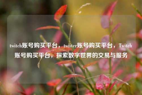 twitch账号购买平台，twiiter账号购买平台，Twitch账号购买平台，探索数字世界的交易与服务