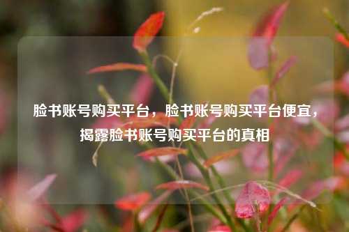 脸书账号购买平台，脸书账号购买平台便宜，揭露脸书账号购买平台的真相