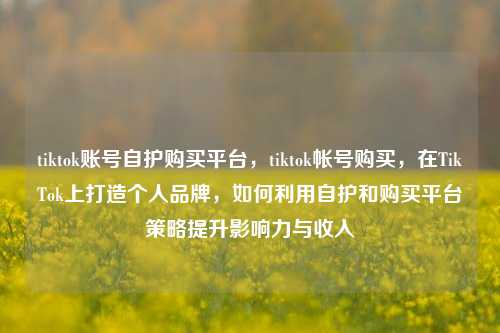 tiktok账号自护购买平台，tiktok帐号购买，在TikTok上打造个人品牌，如何利用自护和购买平台策略提升影响力与收入