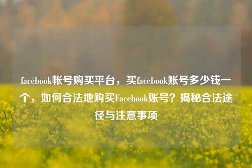 facebook帐号购买平台，买facebook账号多少钱一个，如何合法地购买Facebook账号？揭秘合法途径与注意事项