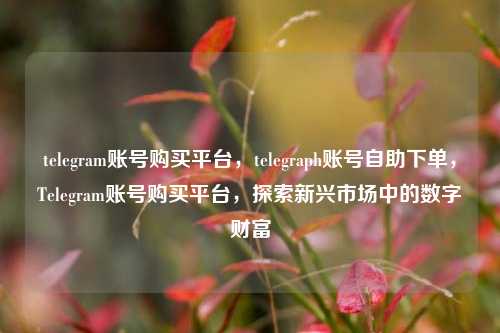 telegram账号购买平台，telegraph账号自助下单，Telegram账号购买平台，探索新兴市场中的数字财富