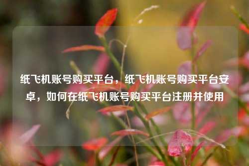 纸飞机账号购买平台，纸飞机账号购买平台安卓，如何在纸飞机账号购买平台注册并使用