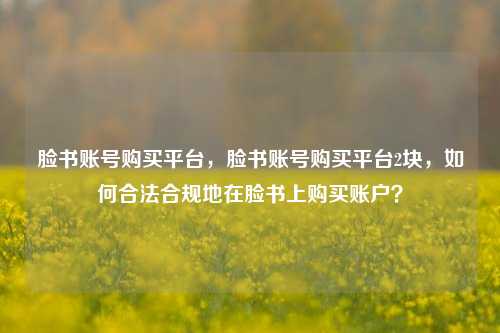 脸书账号购买平台，脸书账号购买平台2块	，如何合法合规地在脸书上购买账户？  第1张