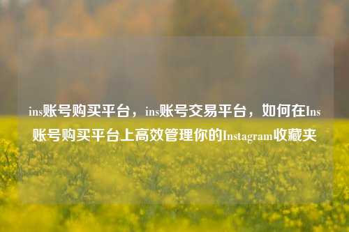 ins账号购买平台，ins账号交易平台，如何在Ins账号购买平台上高效管理你的Instagram收藏夹