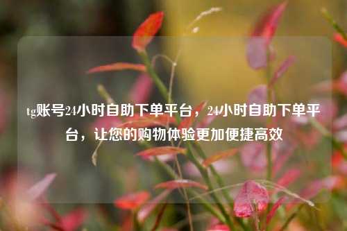 tg账号24小时自助下单平台，24小时自助下单平台，让您的购物体验更加便捷高效