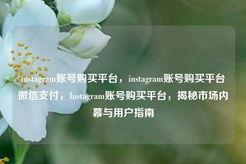 instagram账号购买平台，instagram账号购买平台微信支付，Instagram账号购买平台，揭秘市场内幕与用户指南