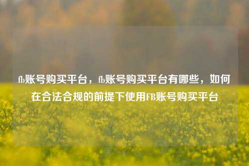 fb账号购买平台，fb账号购买平台有哪些，如何在合法合规的前提下使用FB账号购买平台