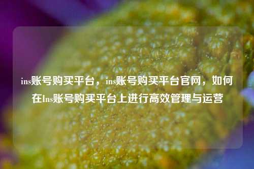 ins账号购买平台，ins账号购买平台官网，如何在Ins账号购买平台上进行高效管理与运营