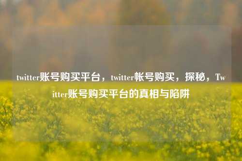 twitter账号购买平台，twitter帐号购买，探秘，Twitter账号购买平台的真相与陷阱