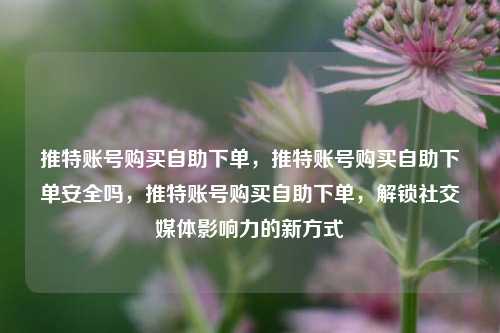 推特账号购买自助下单，推特账号购买自助下单安全吗，推特账号购买自助下单，解锁社交媒体影响力的新方式