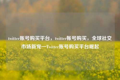 twitter账号购买平台，twitter帐号购买，全球社交市场新宠—Twitter账号购买平台崛起