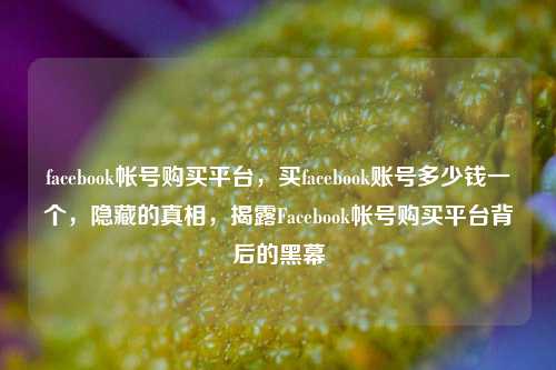 facebook帐号购买平台，买facebook账号多少钱一个	，隐藏的真相，揭露Facebook帐号购买平台背后的黑幕  第1张