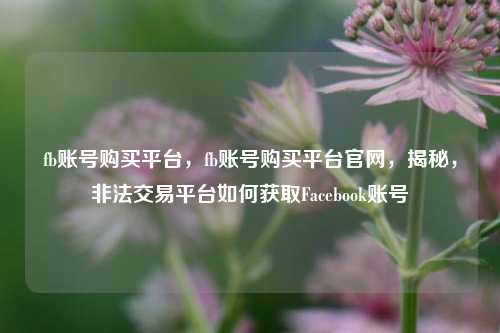 fb账号购买平台，fb账号购买平台官网，揭秘，非法交易平台如何获取Facebook账号