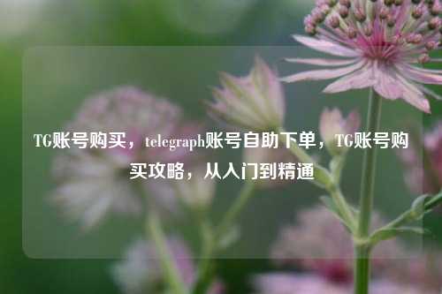 TG账号购买，telegraph账号自助下单，TG账号购买攻略，从入门到精通