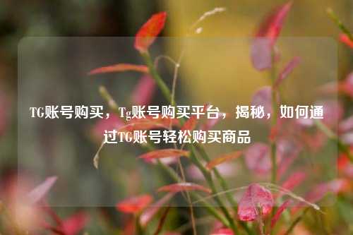 TG账号购买，Tg账号购买平台，揭秘，如何通过TG账号轻松购买商品