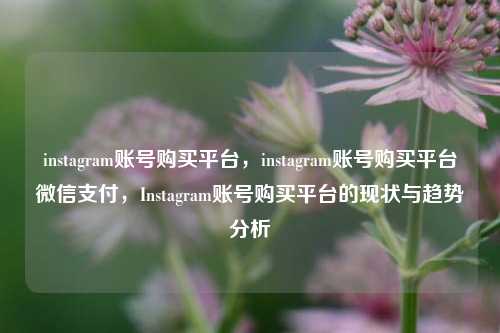 instagram账号购买平台，instagram账号购买平台微信支付，Instagram账号购买平台的现状与趋势分析