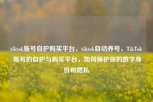 tiktok账号自护购买平台，tiktok自动养号，TikTok 账号的自护与购买平台，如何保护你的数字身份和隐私