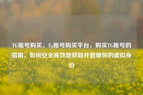 TG账号购买，Tg账号购买平台，购买TG账号的指南，如何安全高效地获取并管理你的虚拟身份