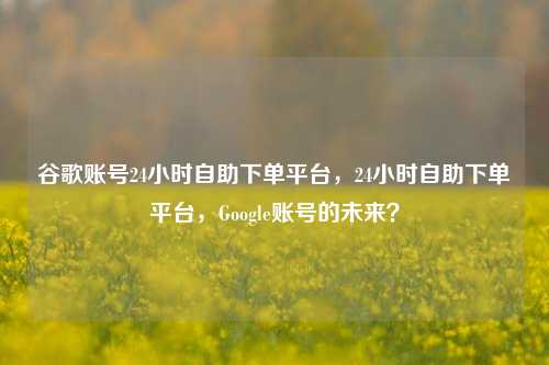 谷歌账号24小时自助下单平台，24小时自助下单平台，Google账号的未来？