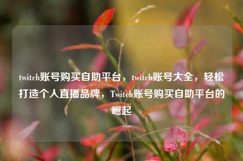 twitch账号购买自助平台，twitch账号大全，轻松打造个人直播品牌，Twitch账号购买自助平台的崛起