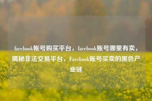 facebook帐号购买平台，facebook账号哪里有卖，揭秘非法交易平台，Facebook账号买卖的黑色产业链