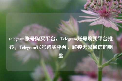 telegram账号购买平台，Telegram账号购买平台推荐，Telegram账号购买平台，解锁无限通信的钥匙