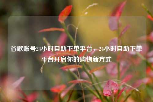 谷歌账号24小时自助下单平台	，24小时自助下单平台开启你的购物新方式  第1张