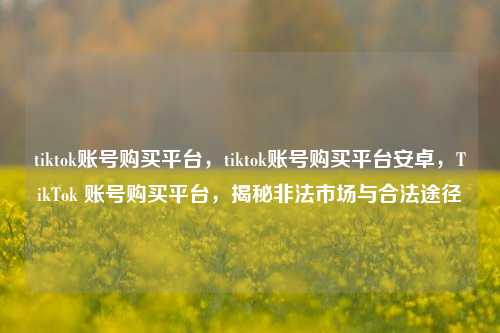 tiktok账号购买平台，tiktok账号购买平台安卓，TikTok 账号购买平台，揭秘非法市场与合法途径