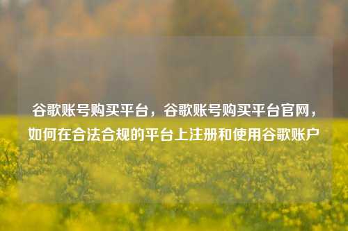 谷歌账号购买平台，谷歌账号购买平台官网，如何在合法合规的平台上注册和使用谷歌账户