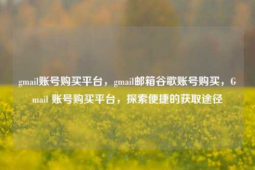 gmail账号购买平台，gmail邮箱谷歌账号购买，Gmail 账号购买平台，探索便捷的获取途径