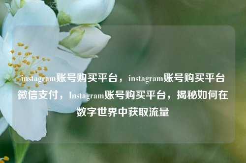 instagram账号购买平台，instagram账号购买平台微信支付，Instagram账号购买平台，揭秘如何在数字世界中获取流量