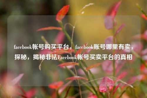 facebook帐号购买平台，facebook账号哪里有卖，探秘	，揭秘非法Facebook帐号买卖平台的真相  第1张