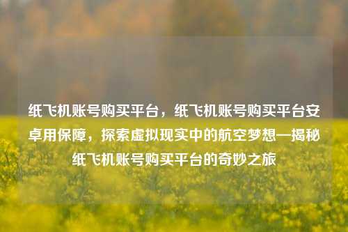 纸飞机账号购买平台，纸飞机账号购买平台安卓用保障，探索虚拟现实中的航空梦想—揭秘纸飞机账号购买平台的奇妙之旅