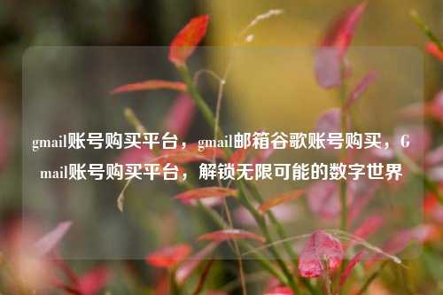 gmail账号购买平台，gmail邮箱谷歌账号购买，Gmail账号购买平台，解锁无限可能的数字世界