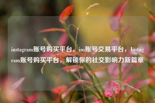 instagram账号购买平台，ins账号交易平台，Instagram账号购买平台，解锁你的社交影响力新篇章