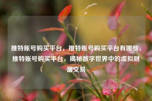 推特账号购买平台，推特账号购买平台有哪些，推特账号购买平台，揭秘数字世界中的虚拟财富交易