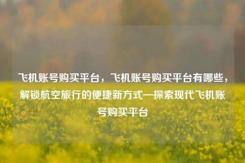 飞机账号购买平台，飞机账号购买平台有哪些	，解锁航空旅行的便捷新方式—探索现代飞机账号购买平台  第1张