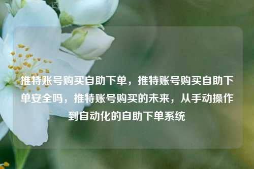 推特账号购买自助下单，推特账号购买自助下单安全吗，推特账号购买的未来，从手动操作到自动化的自助下单系统