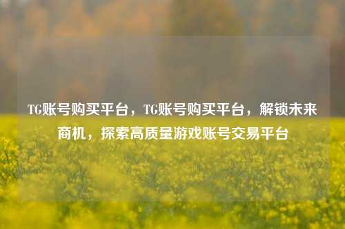 TG账号购买平台	，TG账号购买平台，解锁未来商机，探索高质量游戏账号交易平台  第1张